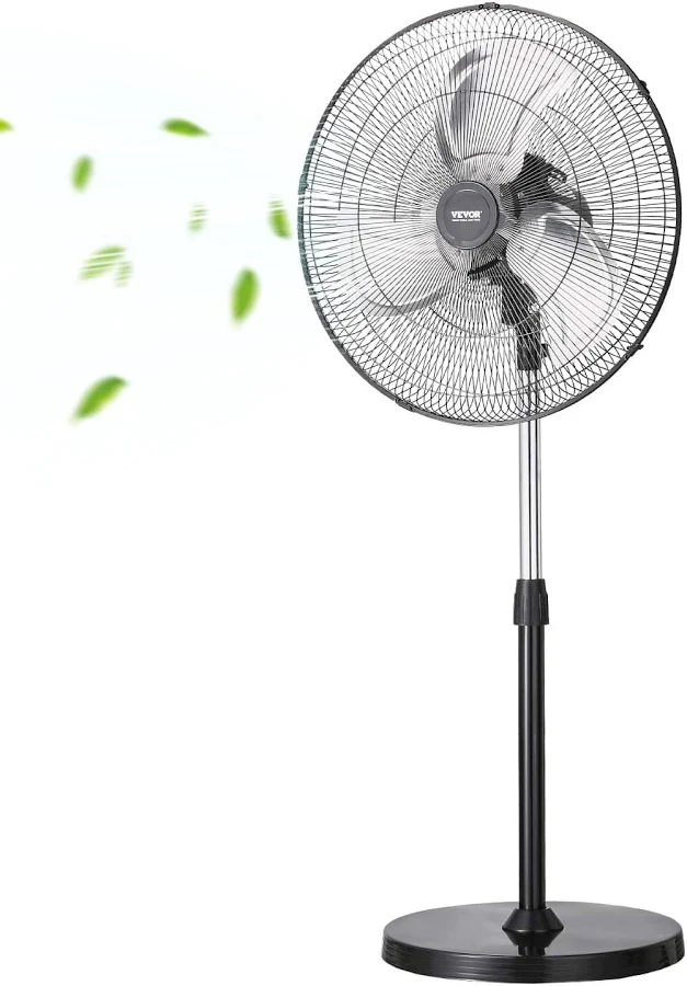 Stand Fan